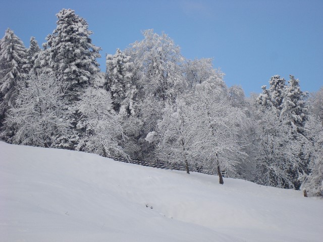 ../Images/Jagd 024.jpg